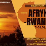 Orange Modern Africa Trip Youtube Thumbnail