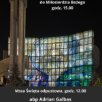 Czarny i Biały Minimalistyczny Zdjęcie Kota Poszukiwany Plakat