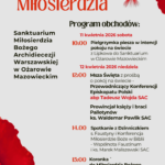 Czerwony i Szary Nowoczesny Święto Konstytucji Ulotka-2